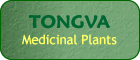 Tongva Medicinal Plants