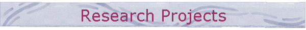 Research Projects