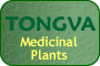 TONGVA PLANTS